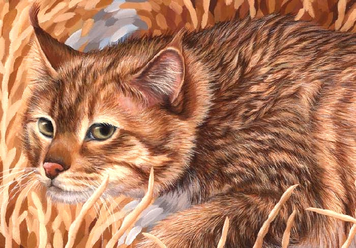 CHINESE STEPPE CAT Original oil painting on canvas, 14x24 in