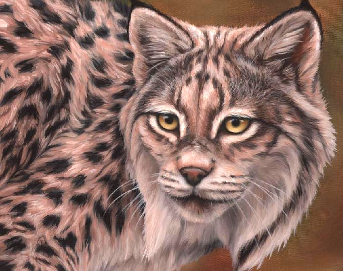 IBERIAN LYNX Original oil painting on canvas, 24x30 in
