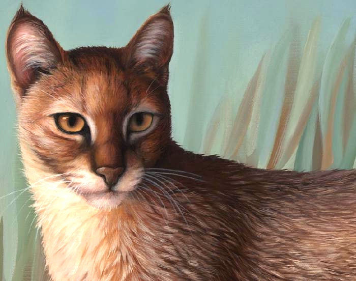 JUNGLE CAT Original oil painting on canvas, 18x24 in