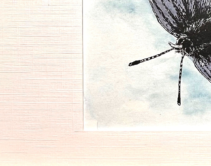 MISSION BLUE BUTTERFLY Hand-painted print, 5x7 in