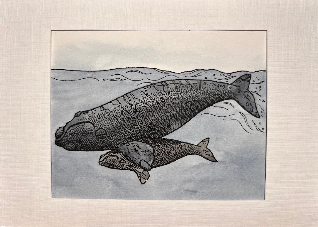 NORTHERN RIGHT WHALE Hand-painted print, 5x7 in
