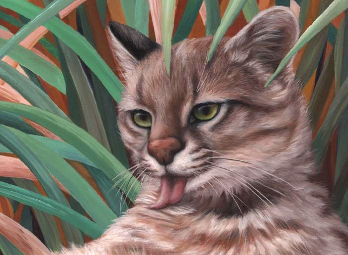 PAMPAS CAT Original oil painting on canvas, 18x24 in