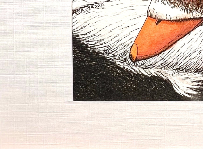 SPECTACLED EIDER Hand-painted print, 5x7 in