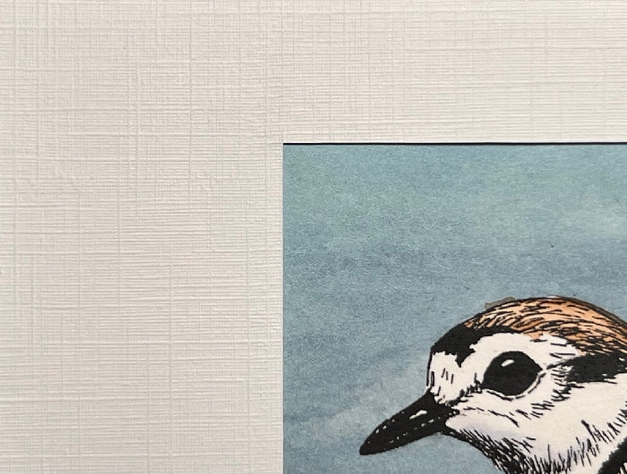 WESTERN SNOWY PLOVER Hand-painted print, 5x7 in