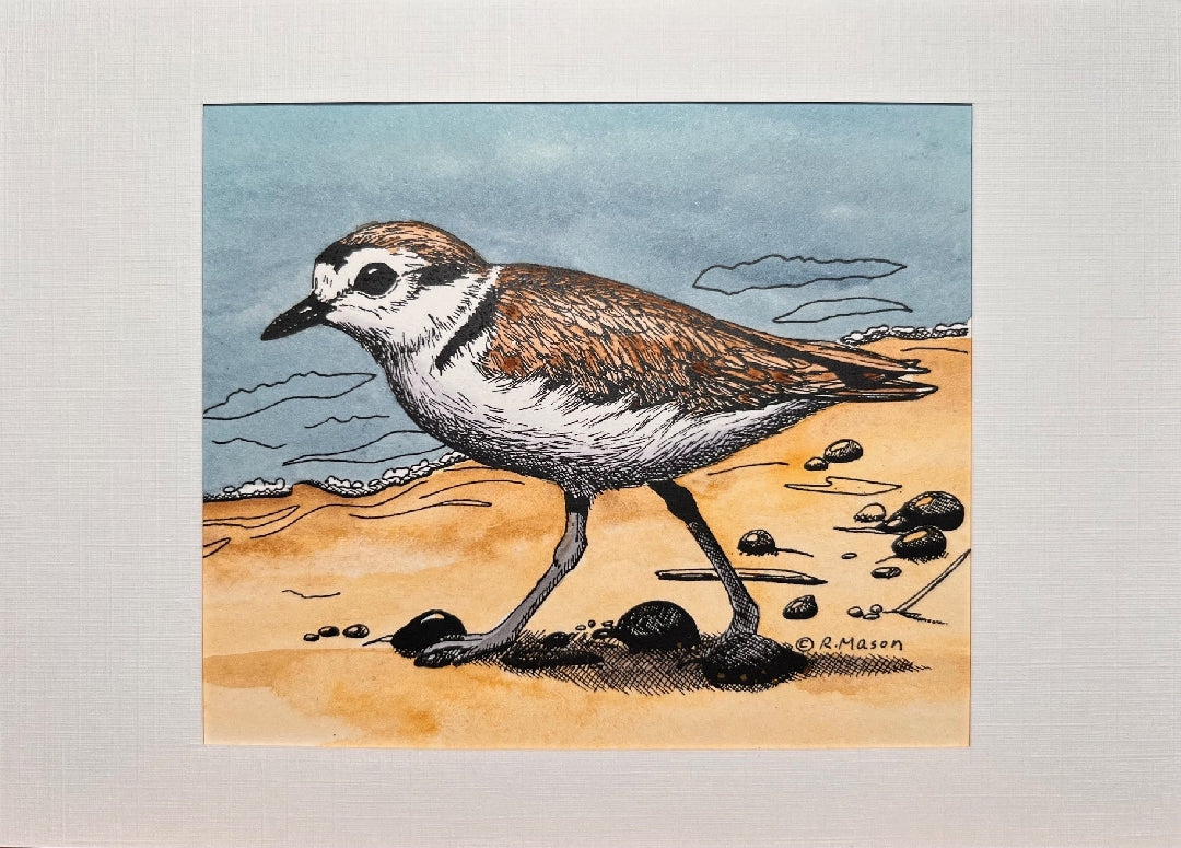 WESTERN SNOWY PLOVER Hand-painted print, 5x7 in
