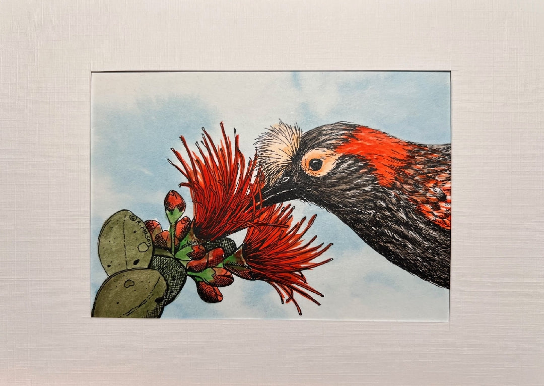 Focus on Nature hand-painted prints