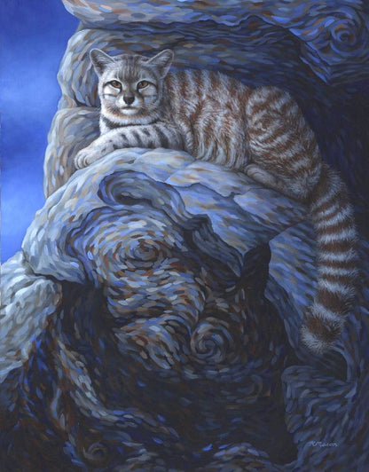 ANDEAN MOUNTAIN CAT Fine art print on paper S/N, 28x22 in
