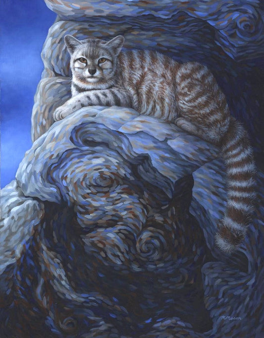 ANDEAN MOUNTAIN CAT Fine art print on paper S/N, 28x22 in