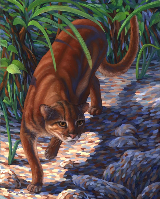 BORNEAN BAY CAT Framed original oil painting on linen, 20x16 in