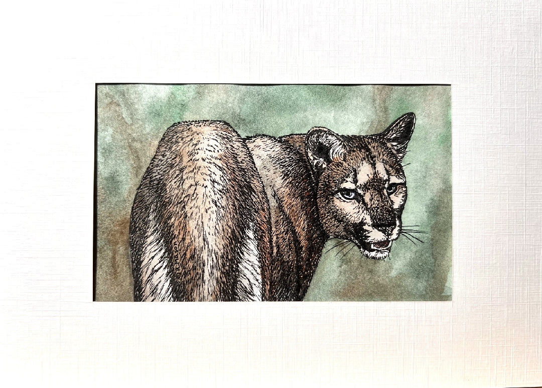 FLORIDA PANTHER Hand-painted print, 5x7 in