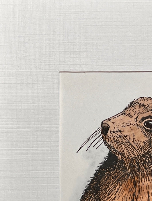 STELLER SEA LION Hand-painted print, 5x7 in