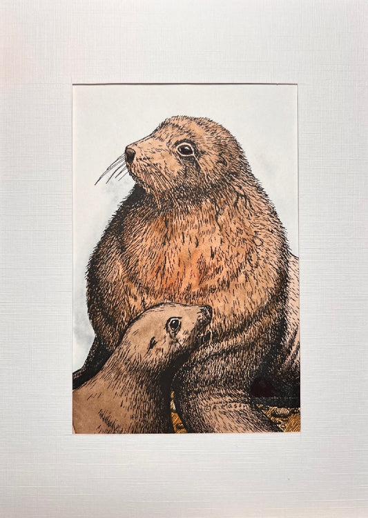 STELLER SEA LION Hand-painted print, 5x7 in