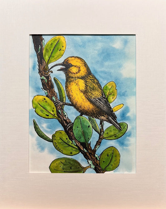 'AKIAPOLA'AU Hand-painted print, 8x10 in