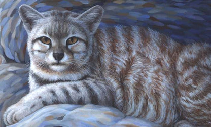 ANDEAN MOUNTAIN CAT Fine art print on paper S/N, 28x22 in