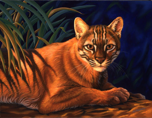 ASIAN GOLDEN CAT Original oil painting on canvas, 14x18 in