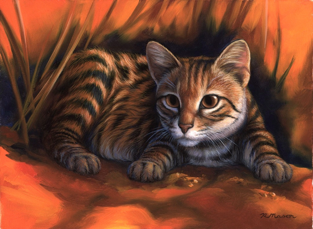BLACK-FOOTED CAT Fine art print on paper S/N, 9x12 in