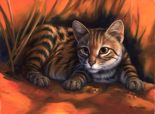 BLACK-FOOTED CAT Fine art print on paper S/N, 9x12 in
