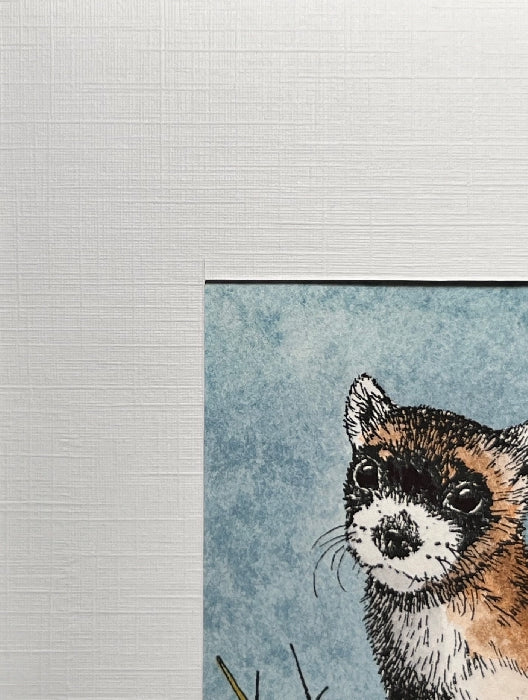 BLACK-FOOTED FERRET Hand-painted print, 5x7 in