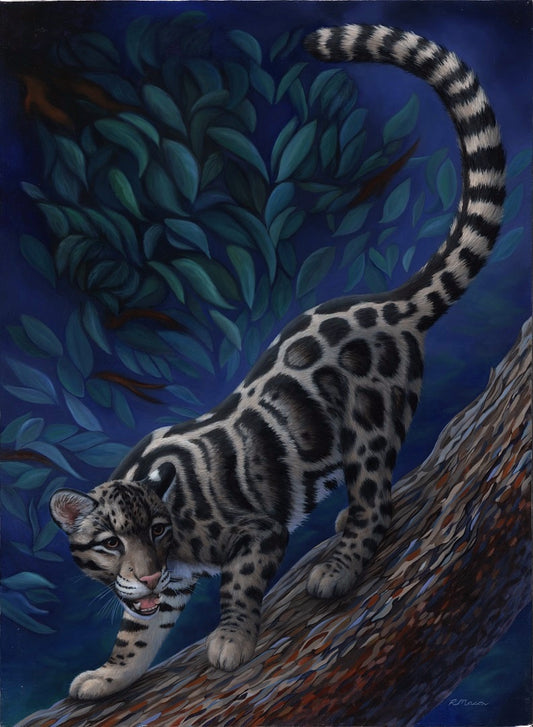 CLOUDED LEOPARD Original oil painting on canvas, 30x22 in