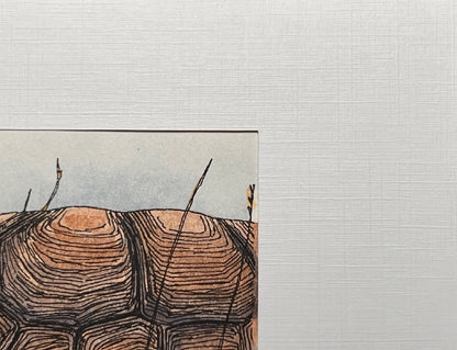 DESERT TORTOISE Hand-painted print, 5x7 in