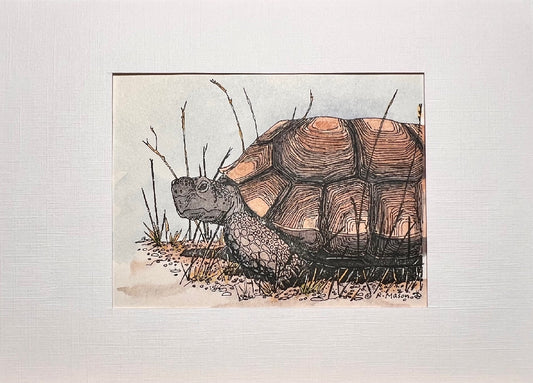 DESERT TORTOISE Hand-painted print, 5x7 in
