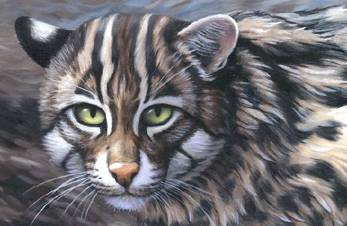 FISHING CAT Original oil painting on canvas, 14x24 in