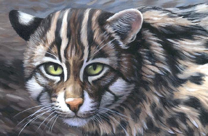 FISHING CAT Original oil painting on canvas, 14x24 in