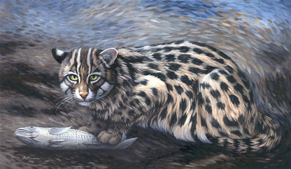 FISHING CAT Original oil painting on canvas, 14x24 in