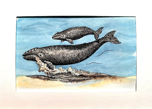 GRAY WHALE Hand-painted print, 5x7 in