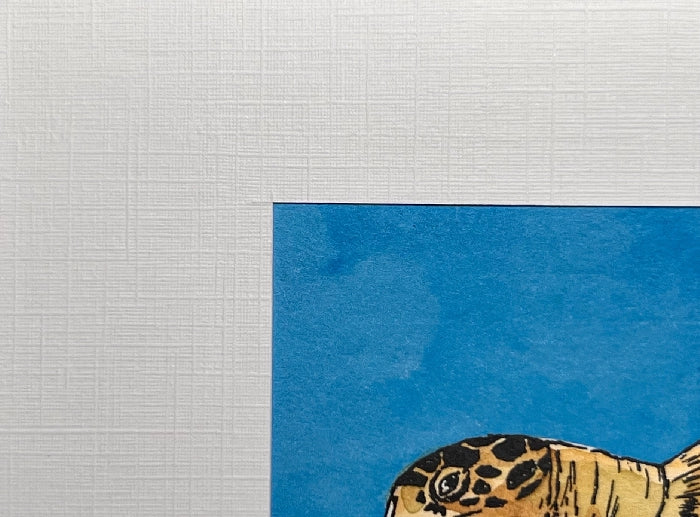 HAWKSBILL SEA TURTLE Hand-painted print, 5x7 in