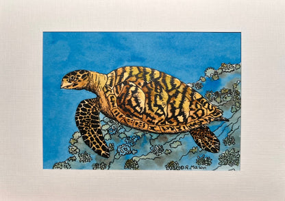 HAWKSBILL SEA TURTLE Hand-painted print, 5x7 in