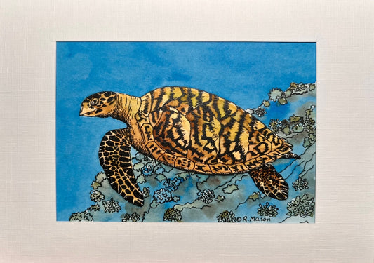 HAWKSBILL SEA TURTLE Hand-painted print, 5x7 in