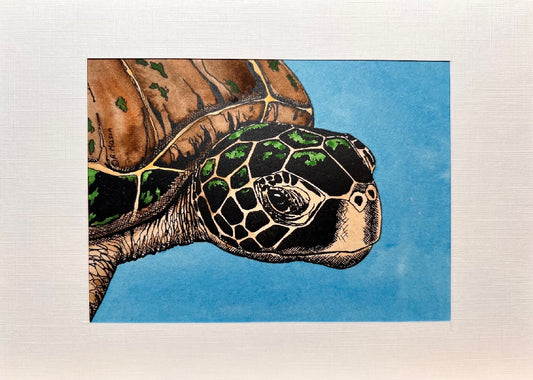 GREEN SEA TURTLE Hand-painted print, 5x7 in