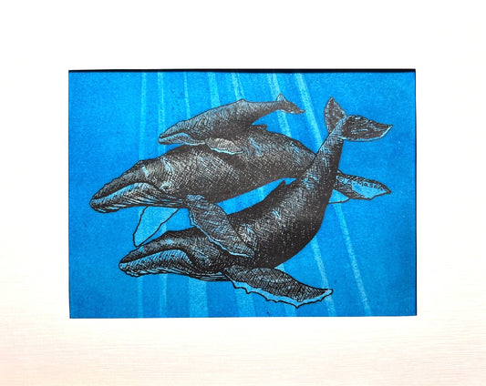 HUMPBACK WHALES Hand-painted print, 5x7 and 8x10 in