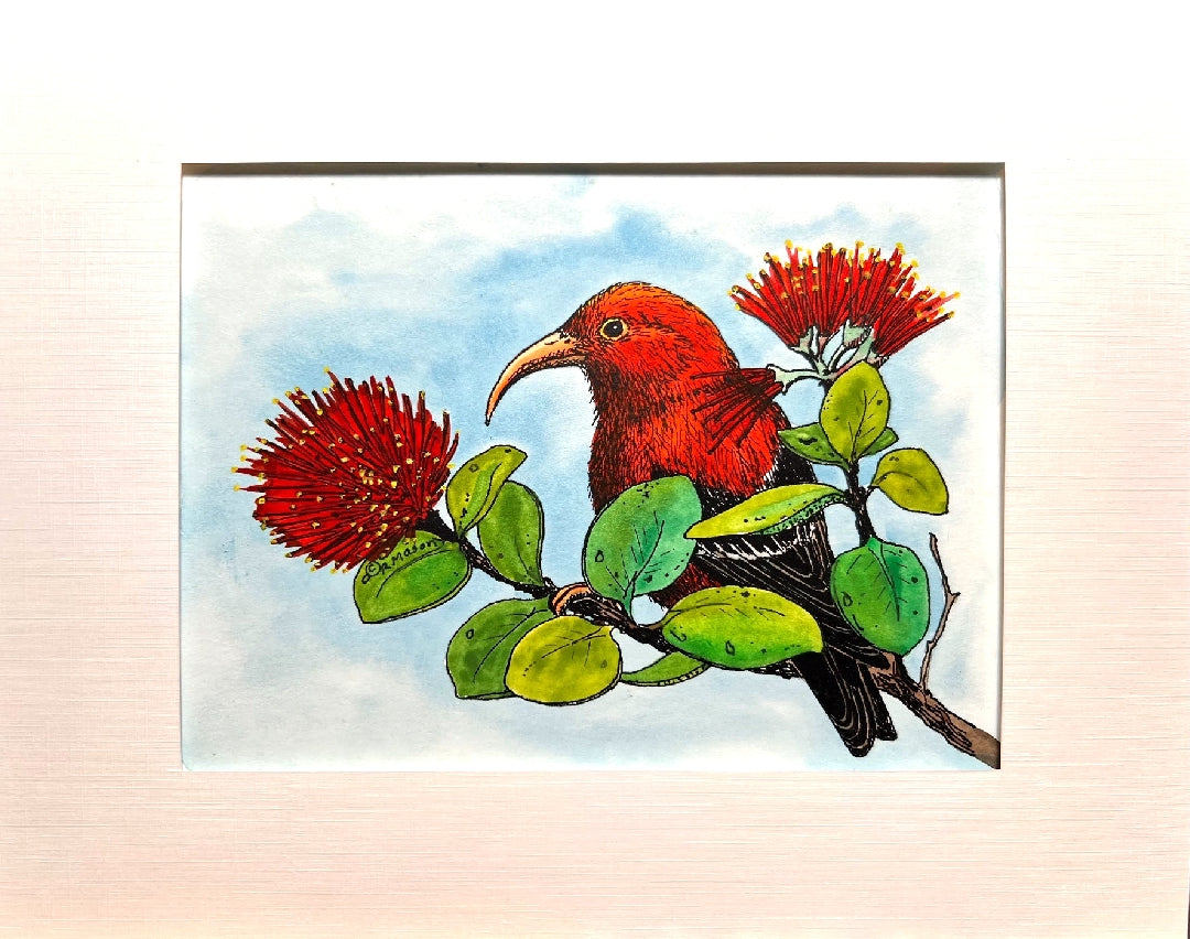'I'IWI Hand-painted print, 8x10 in