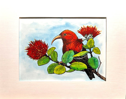 'I'IWI Hand-painted print, 8x10 in