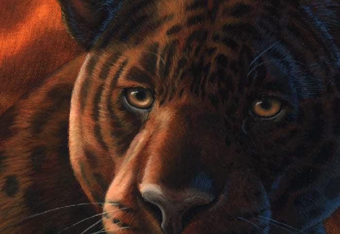 BLACK JAGUAR Fine art print on paper S/N, 16x20 in
