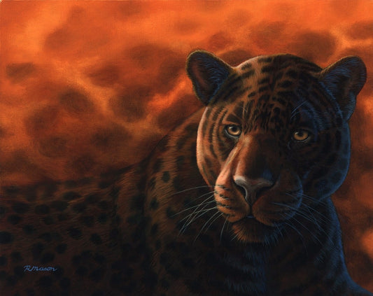 BLACK JAGUAR Fine art print on paper S/N, 16x20 in