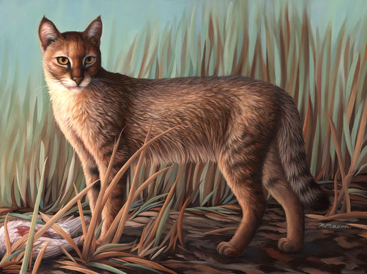 JUNGLE CAT Original oil painting on canvas, 18x24 in