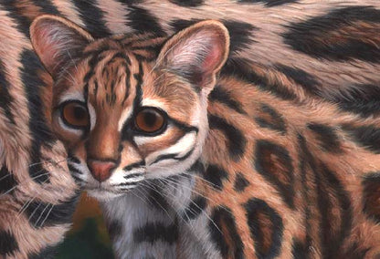 MARGAYS Fine art print on canvas S/N, 20x30 in