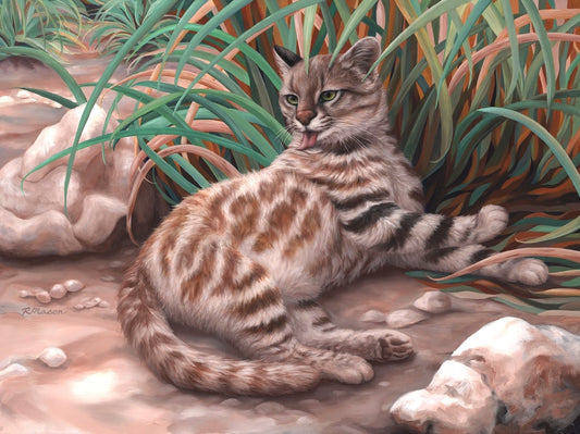 PAMPAS CAT Original oil painting on canvas, 18x24 in