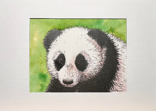 PANDA BEAR Hand-painted print, 5x7 in