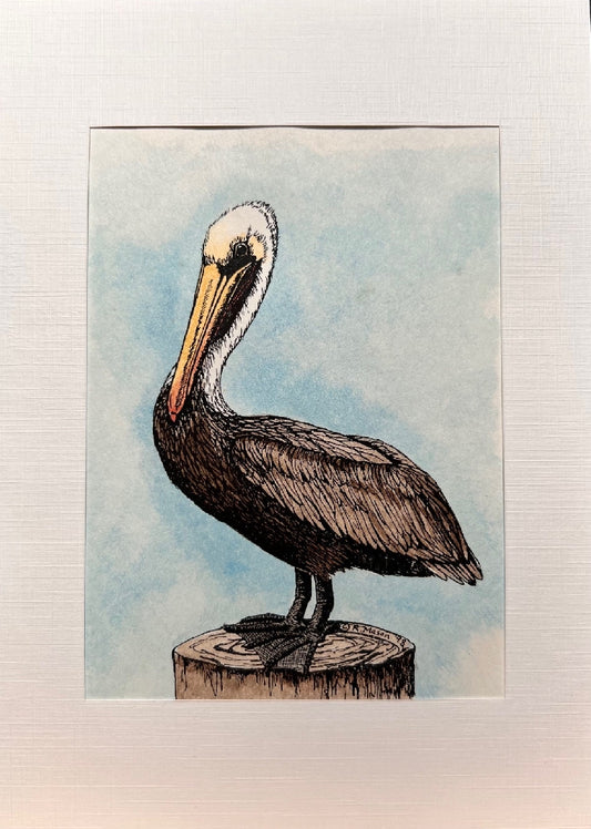CALIFORNIA PELICAN Hand-painted print, 5x7 in