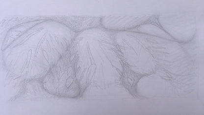 #10 Original oil painting on canvas, 24x48 in