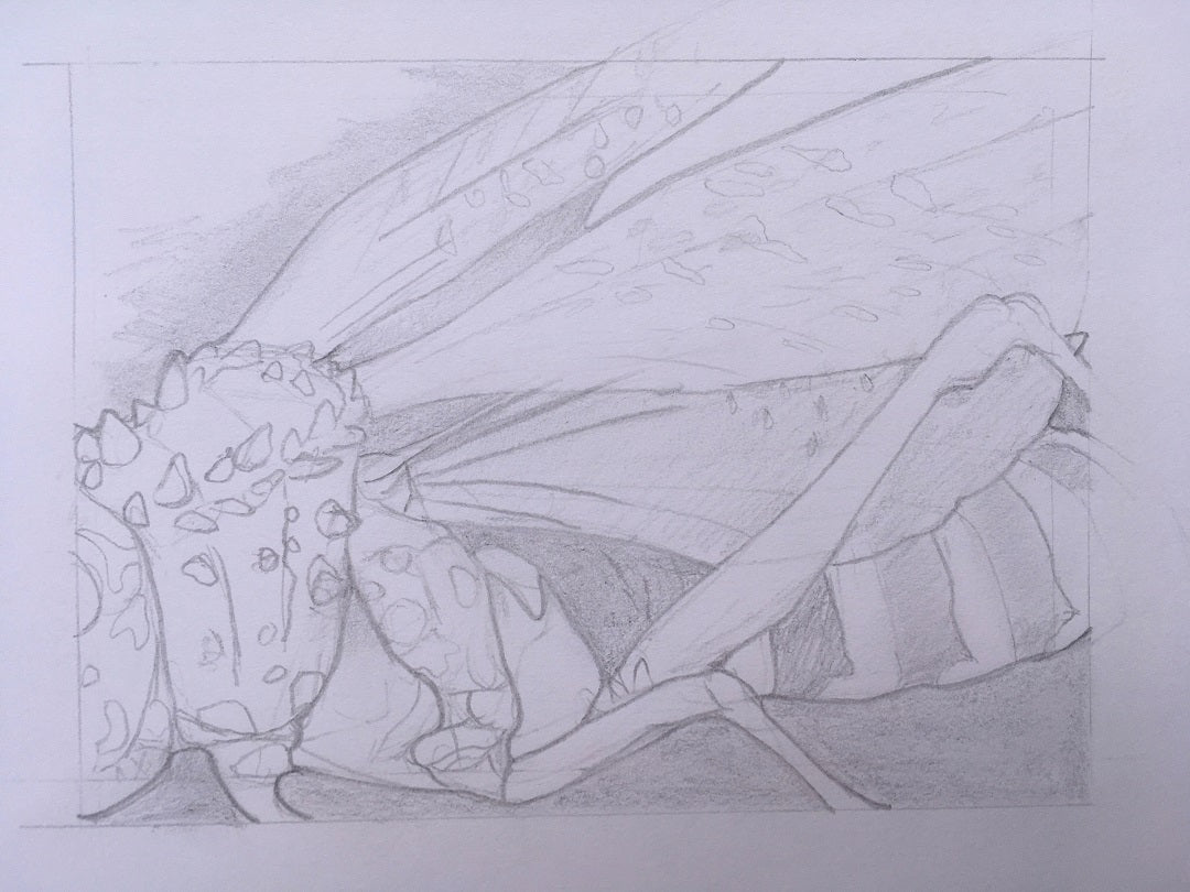 #13 Original oil painting on canvas, 36x48 in