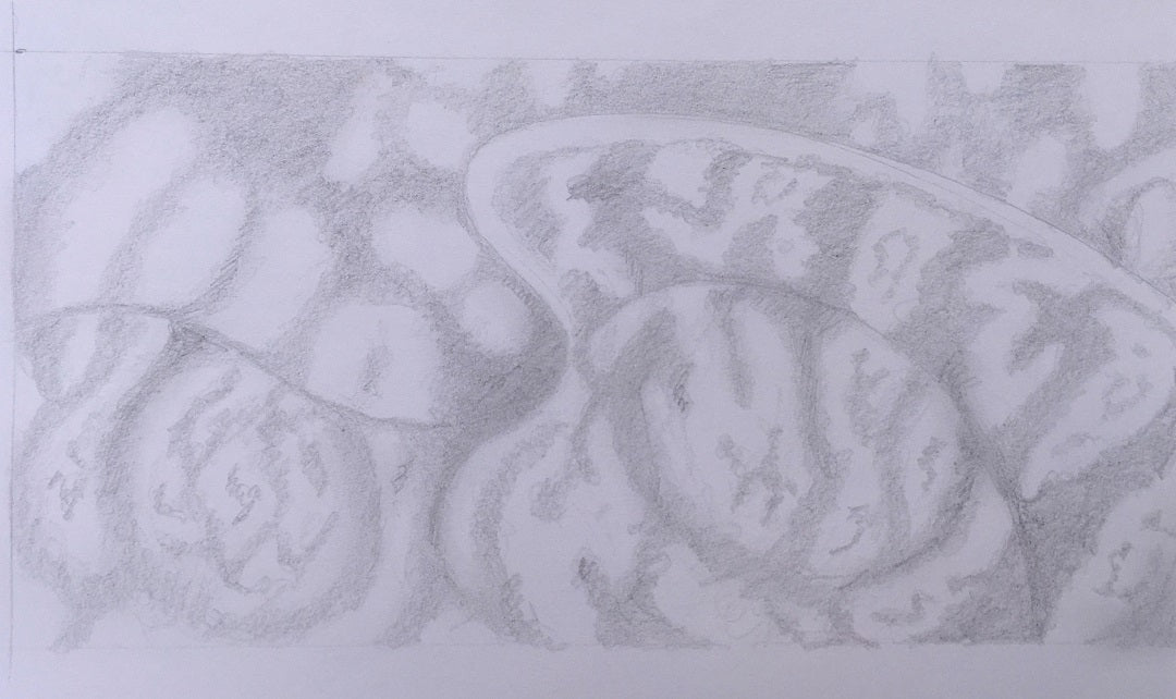 #8 Original oil painting on canvas, 24x48 in