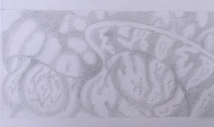 #8 Original oil painting on canvas, 24x48 in