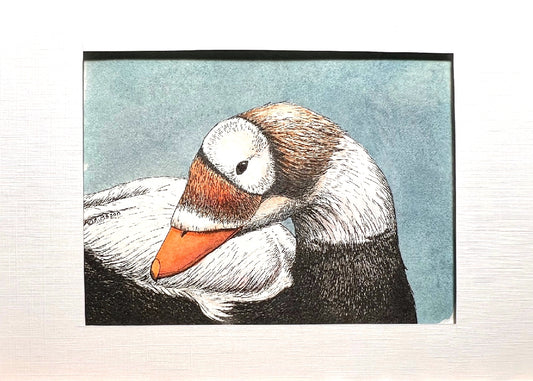 SPECTACLED EIDER Hand-painted print, 5x7 in