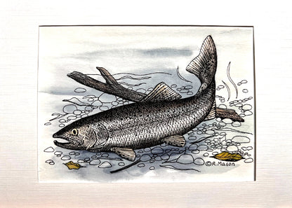 STEELHEAD TROUT Hand-painted print, 5x7 in