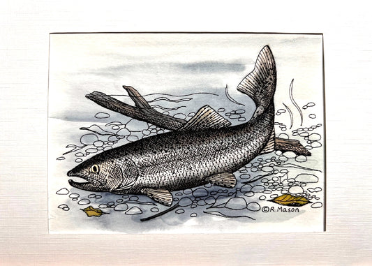 STEELHEAD TROUT Hand-painted print, 5x7 in